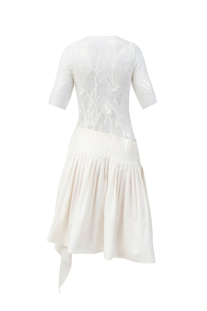 Back view of Amelia Lace Pleated Dress  displaying elegant pleated design and lace detailing
