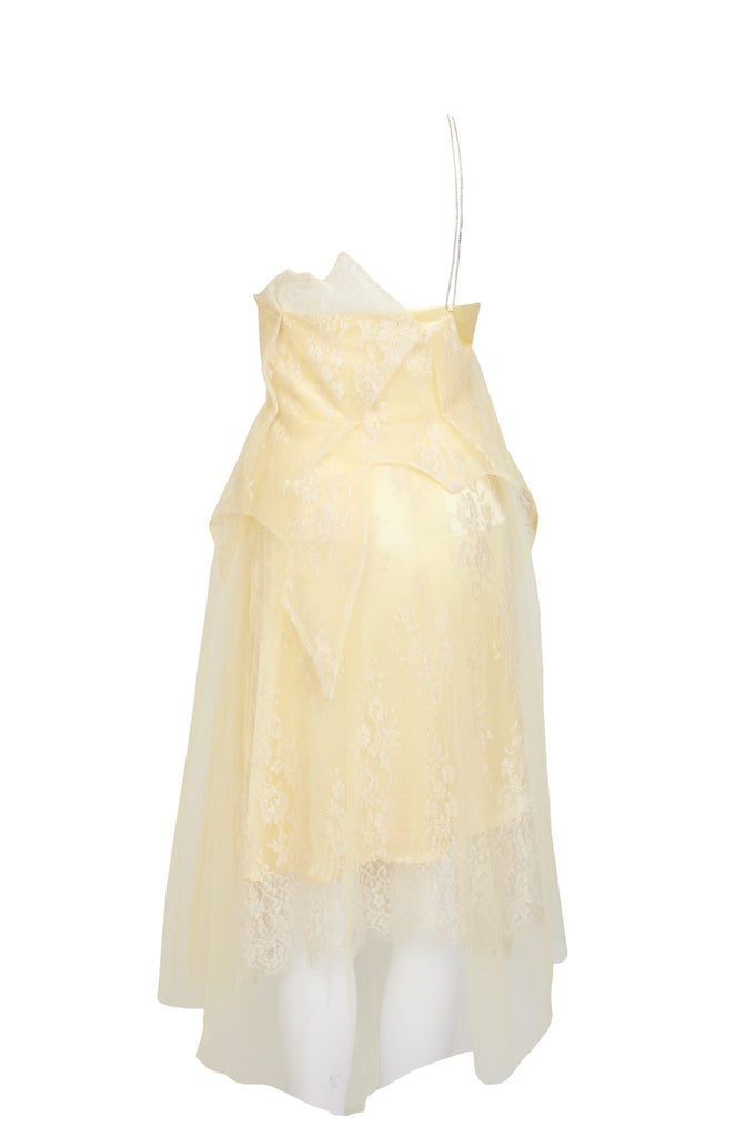 Back view of Luna Tulle and Silk Dress