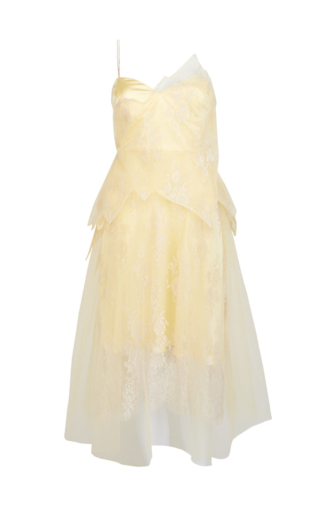Front view of Luna Tulle and Silk Dress showcasing fitted bodice and flowing tulle skirt and the beautiful metallic lace by ByVarga
